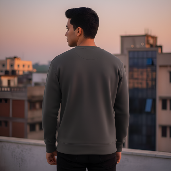 Men's Sweatshirt Price in BD ash-pose-back