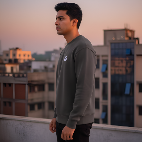 Men's Sweatshirt Price in BD ash-side
